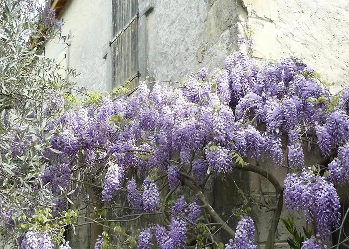 La Ferme St Michel