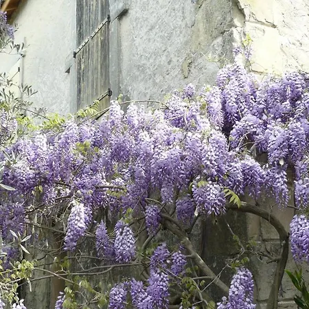 La Ferme St Michel